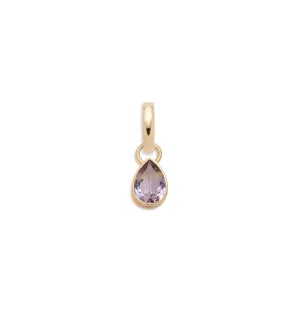 Forever & Always a Pair - Love : 0.65ct Amethyst Pear Pendant with Oval Push Gate