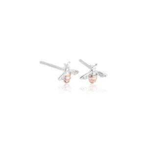 Honey Bee Earrings - Silver Rose Gold - 3SHNBE