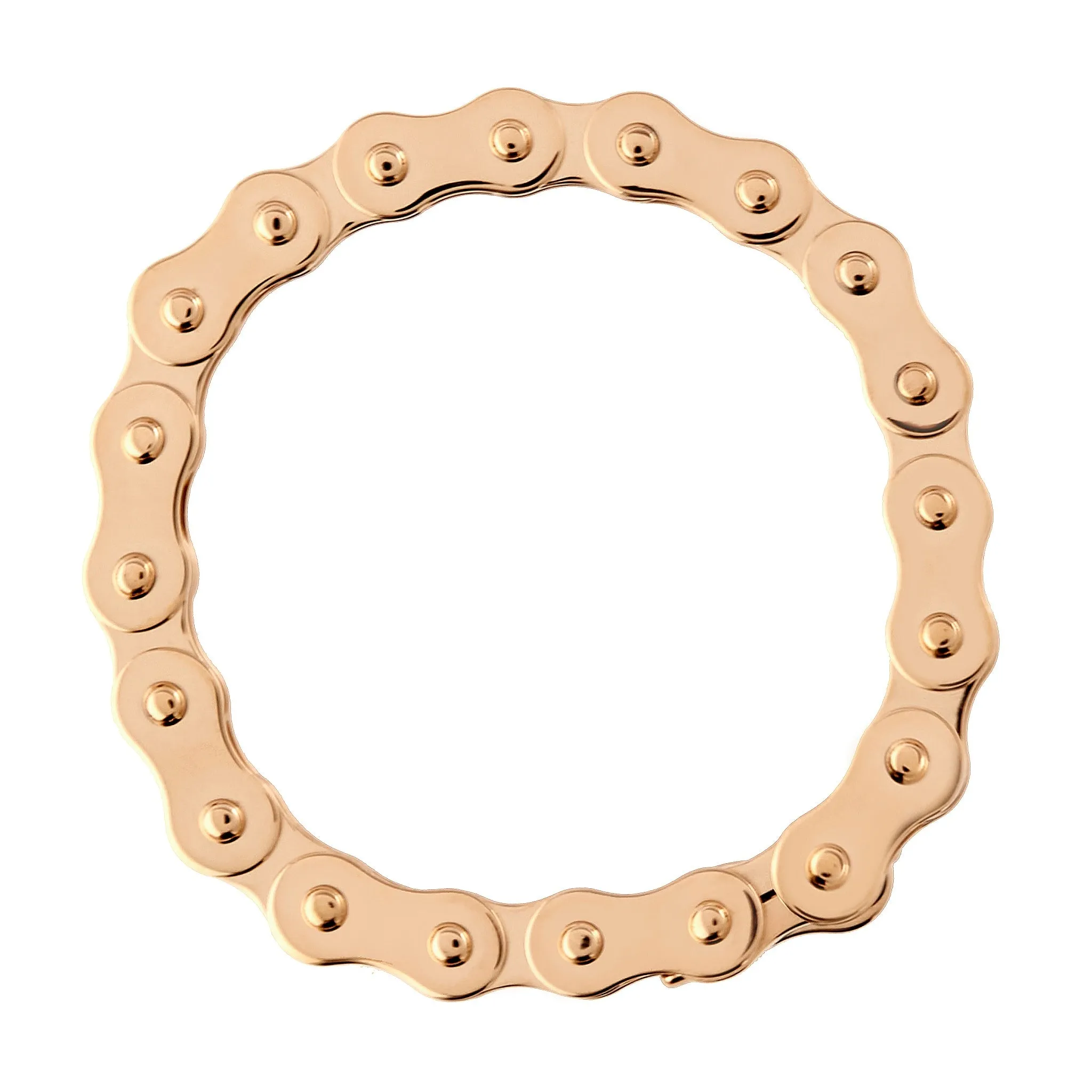 Lifecycle Chain Bracelet